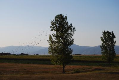 Tågresa mellan Plovdiv och Burgas. I bakgrunden Stara Planina.